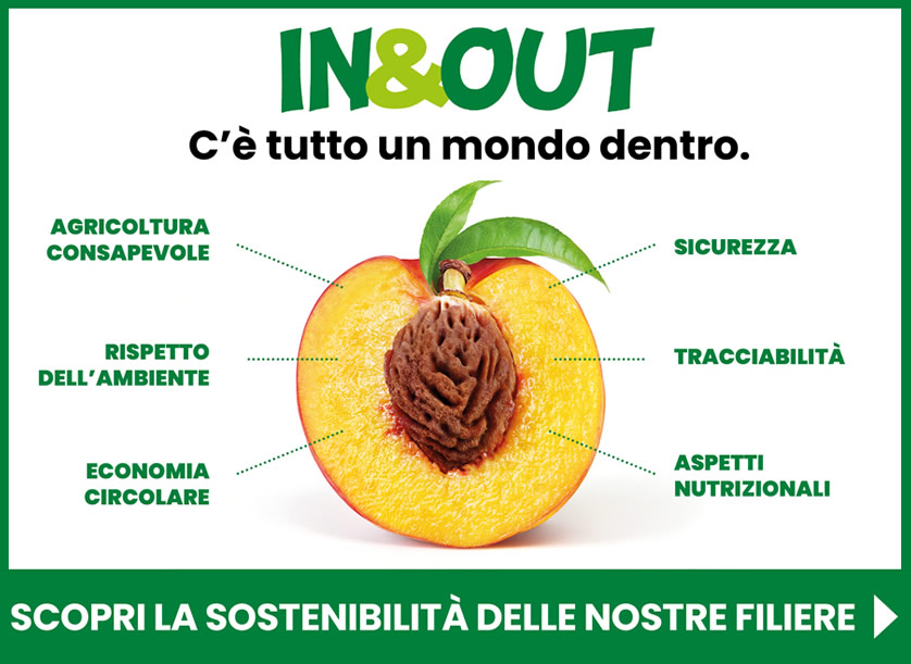 IN & OUT progetto europeo per la promozione di frutta e verdura sostenibile